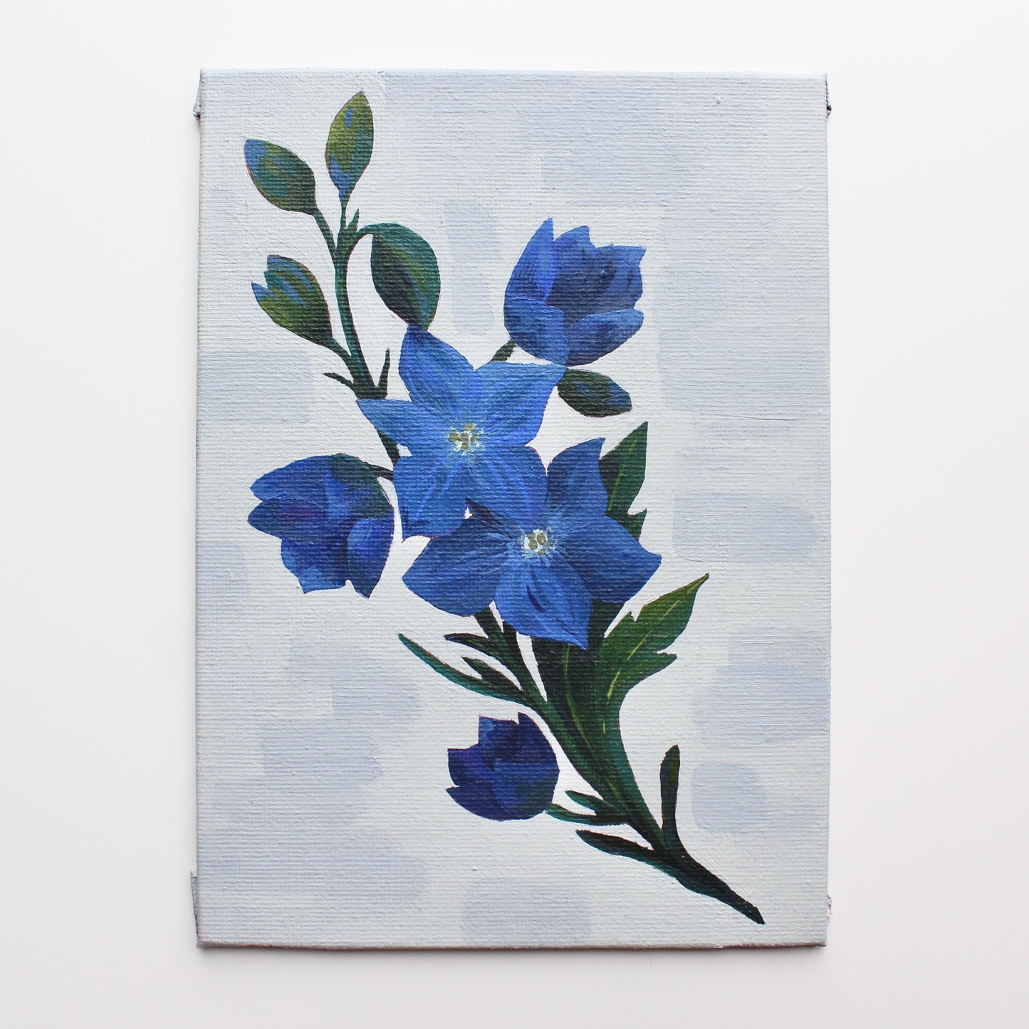 Blue Larkspur flowers, July birth month flower. Original acylic on canvas board.