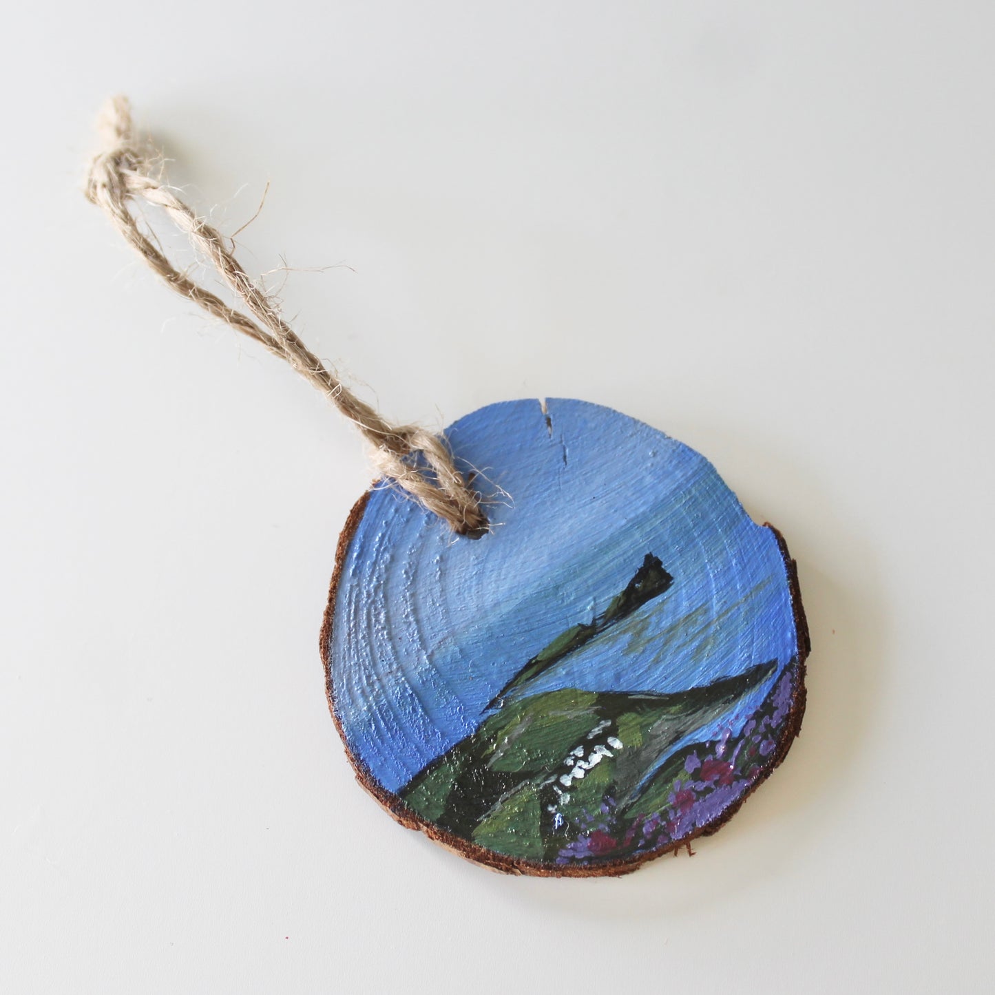 Worms Head Hand-Painted on Wood Slice, Tower Swansea Coastal Art, Unique Welsh Gift